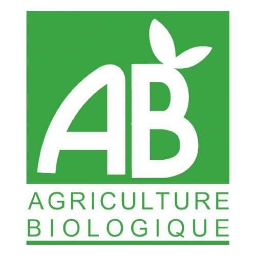 Logo-AB-communication-removebg-preview.png (92 KB)